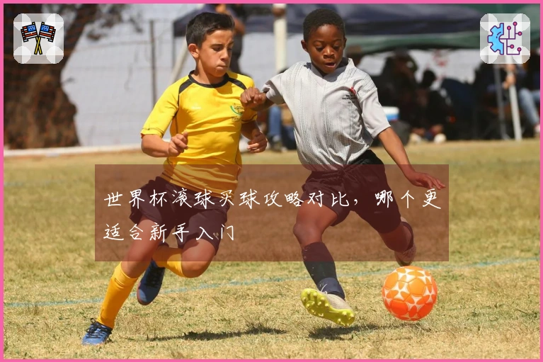 世界杯滚球买球攻略对比，哪个更适合新手入门