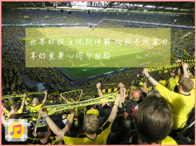 世界杯投注规则详解 向新手玩家分享的重要心得与经验