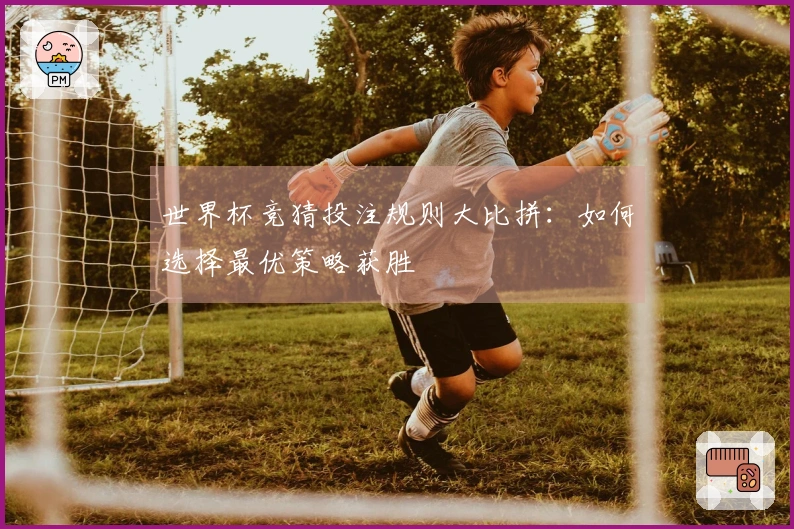 世界杯竞猜投注规则大比拼：如何选择最优策略获胜