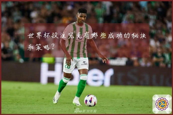 世界杯投注究竟有哪些成功的秘诀和策略？