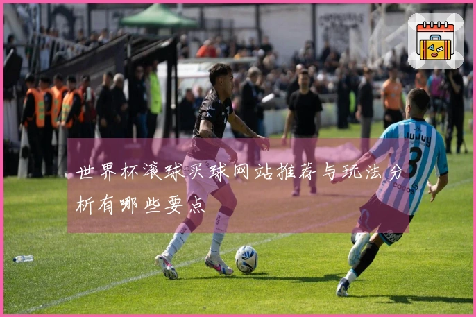 世界杯滚球买球网站推荐与玩法分析有哪些要点
