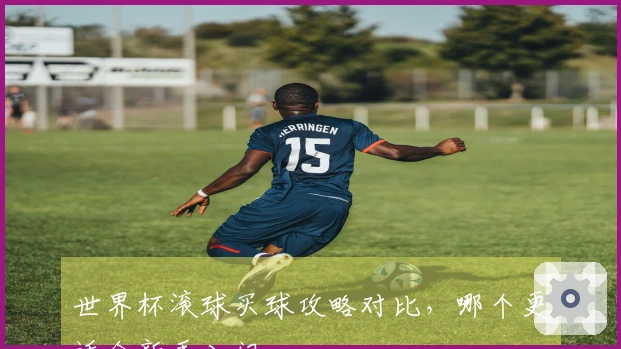 世界杯滚球买球攻略对比，哪个更适合新手入门