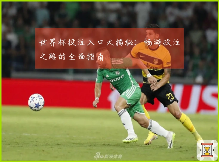 世界杯投注入口大揭秘：畅游投注之路的全面指南