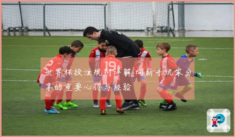 世界杯投注规则详解 向新手玩家分享的重要心得与经验