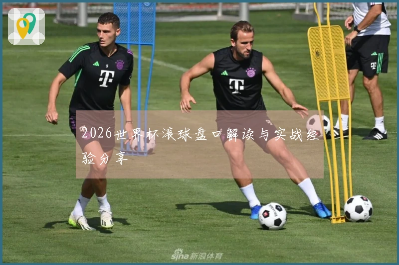 2026世界杯滚球盘口解读与实战经验分享