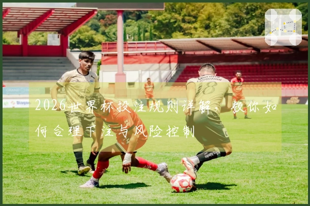 2026世界杯投注规则详解，教你如何合理下注与风险控制