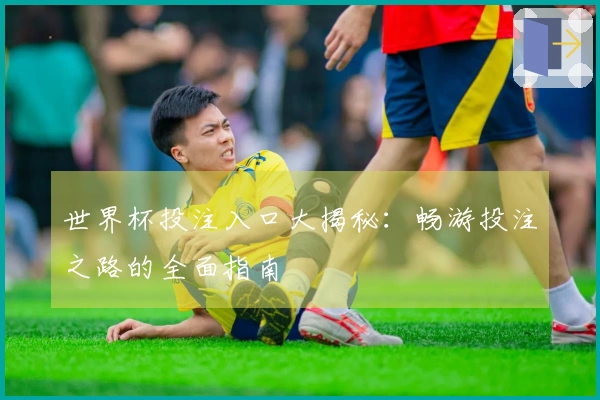 世界杯投注入口大揭秘：畅游投注之路的全面指南